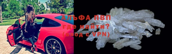 эйфоретик Сосновый Бор