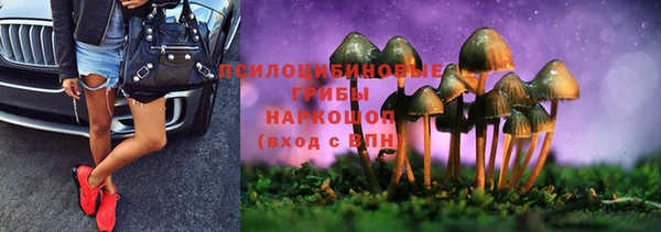 Альфа ПВП Балабаново
