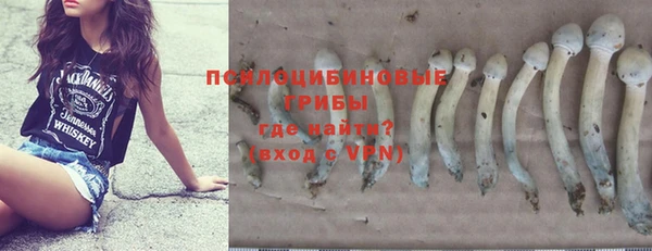 трава Балахна