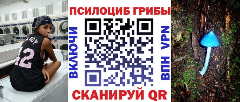 Псилоцибиновые грибы GOLDEN TEACHER  наркотики  Лаишево 